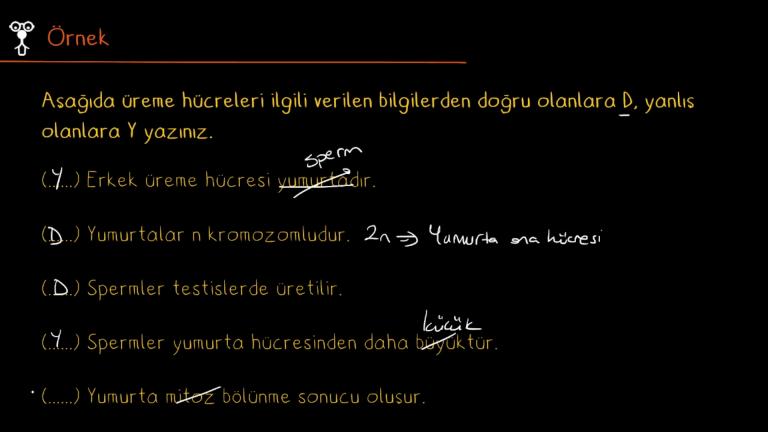 Üreme Hücreleri