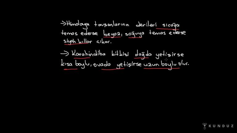 Mutasyon ve Modifikasyon