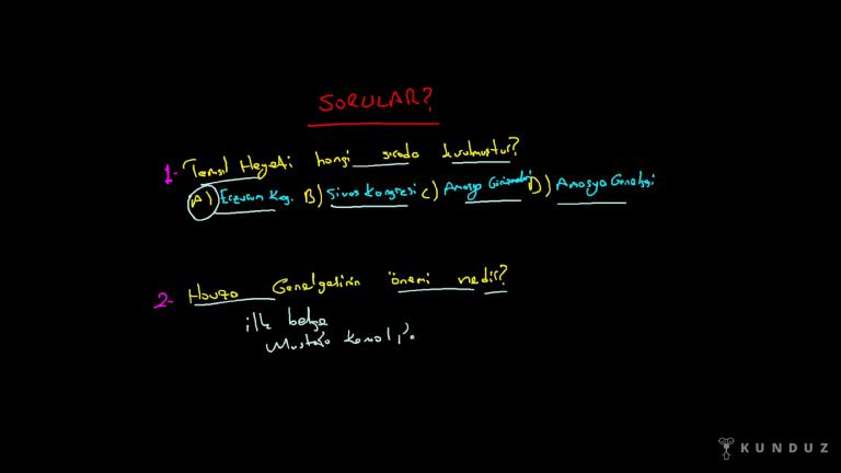 Milli Mücadelenin İlk Adımları