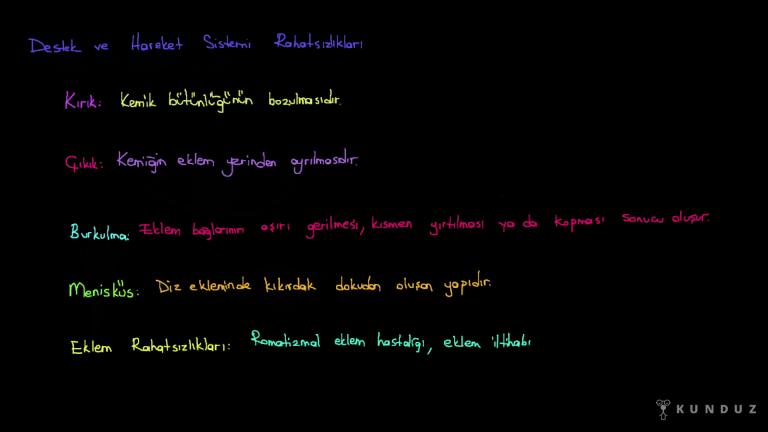 Destek ve Hareket Sistemi Rahatsızlıkları