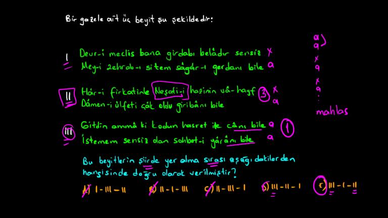 Divan Şiiri Sanatçıları (Nefi, Nabi, Nedim)