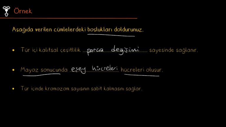 Mayozun Canlılardaki Önemi