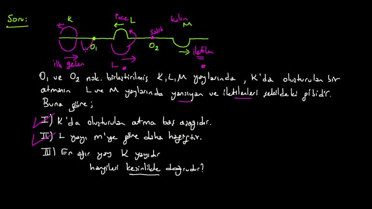 Yay Dalgaları Örnek Sorular