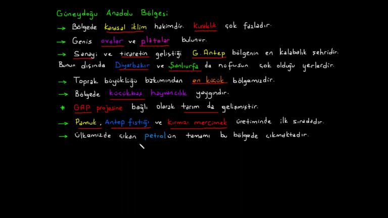 Bölgelere Göre Nüfus Yoğunlukları