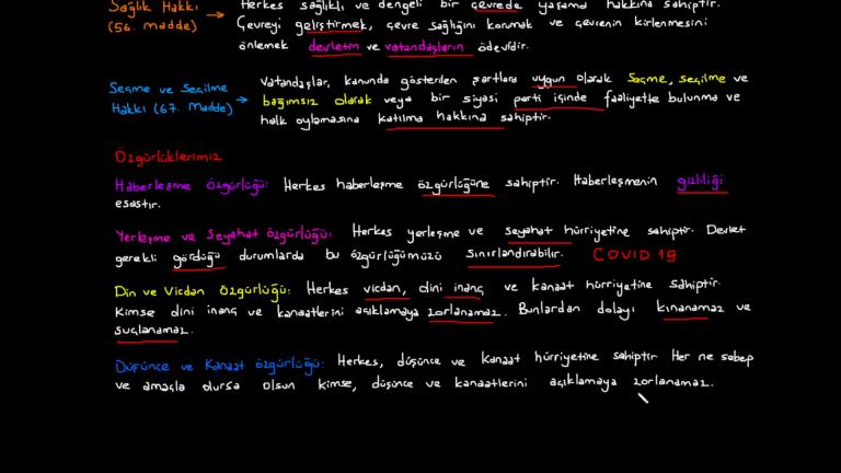 Temel Hak ve Özgürlüklerimiz