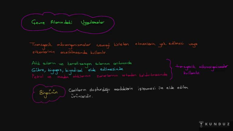 Genetik Mühendisliği ve Biyoteknolojinin İnsan Hayatına Etkisi
