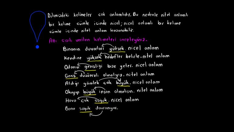 Nitel ve Nicel Anlam