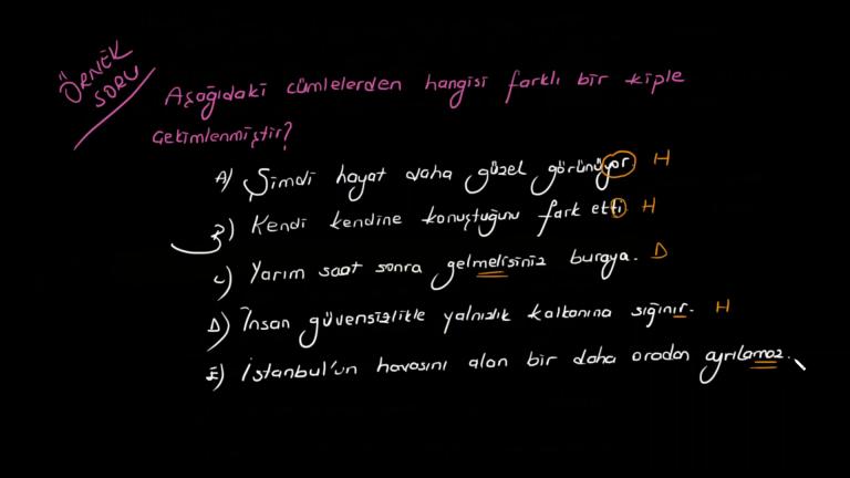 Dilek Kipleri Bölüm 1