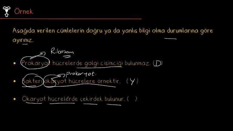 Hücre Çeşitleri